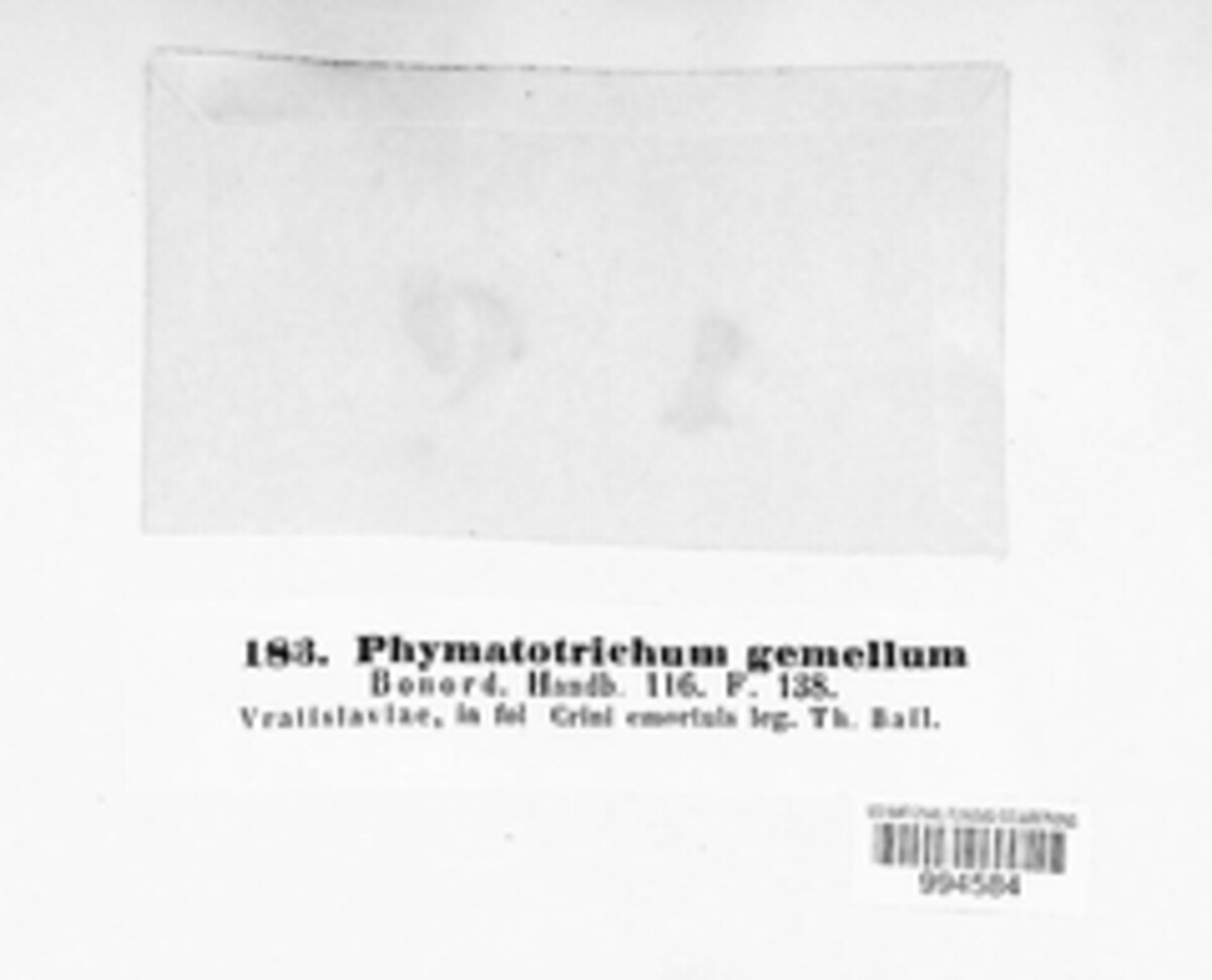 Botryotinia fuckeliana image